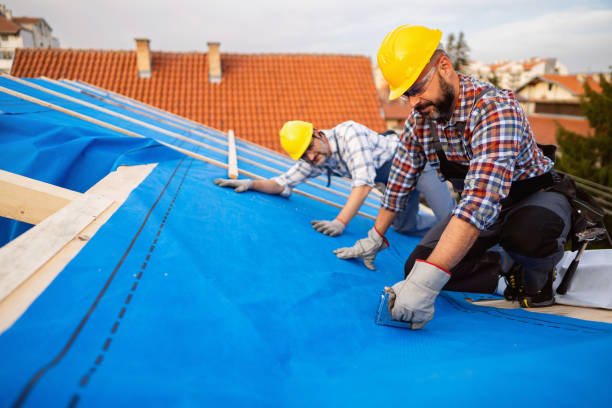 Best Roof Gutter Cleaning  in Desnso, CA